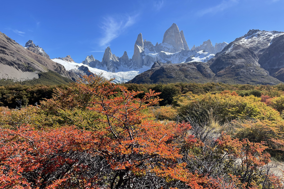 Webflow, un outil d’avenir dans le secteur de la presse