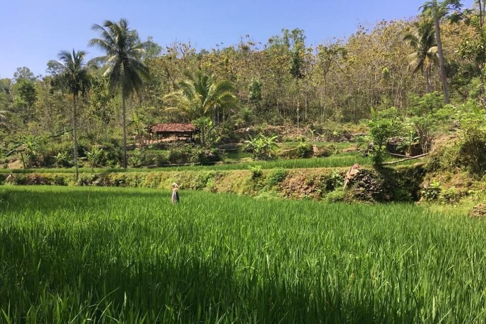 Le nocode est-elle la nouvelle compétence indispensable pour développer vos applications en ligne ?