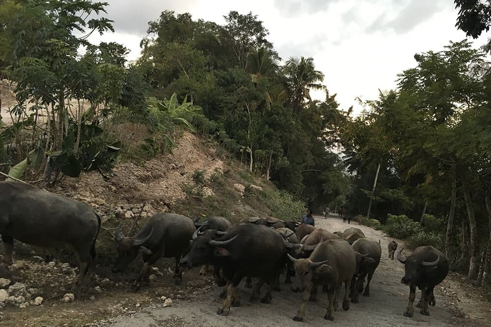 Mettez une touche de design émotionnel dans vos interfaces !